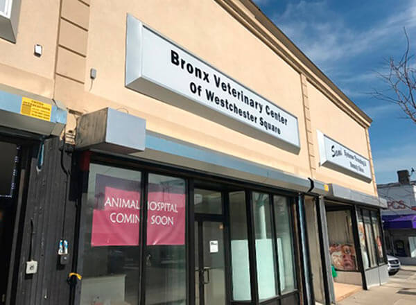 Veterinary center selects Westchester Square location