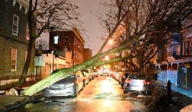 Tree Uprooted By Storm Causes Damage