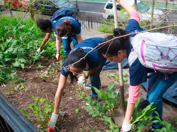 Bronxites Revitalize Merriam Playground|Bronxites Revitalize Merriam Playground