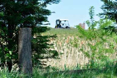 Vandals target trees on Trump Links golf course
