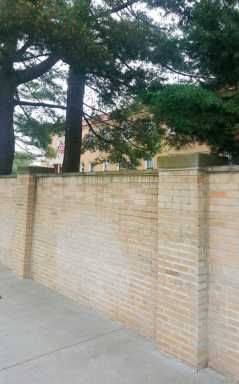 Sisters, Servants of Mary: “Please, no more trees!”