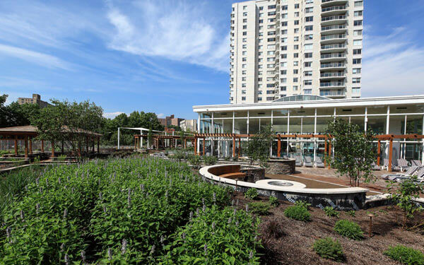 Whitehall Unveils Its Green Roof