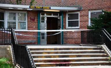 Man Jumps To Death From Forest Houses