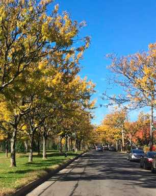 PPN price tag at $115 million/Community questions the project’s rising cost|PPN price tag at $115 million/Community questions the project’s rising cost