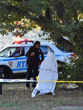 Hanged Man Found In Ferry Point Park
