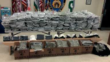 10 nabbed in drug ring bust/’Operation Green Giant’ ends $22 million enterprise
