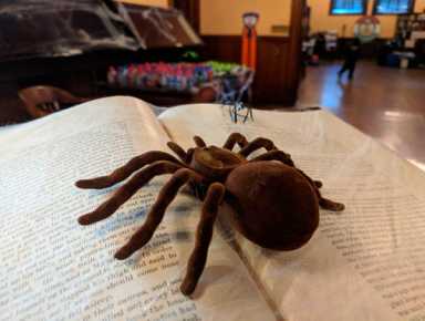 Halloween Party At Huntington Library