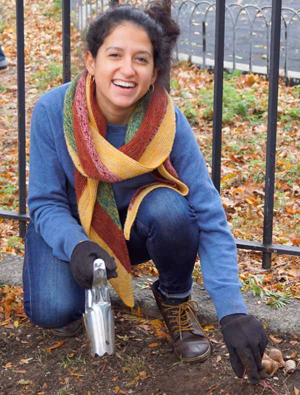 Daffodil Project At Tremont Park|Daffodil Project At Tremont Park