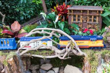 NYBG Holiday Train Show Keeps On Chugging|NYBG Holiday Train Show Keeps On Chugging|NYBG Holiday Train Show Keeps On Chugging|NYBG Holiday Train Show Keeps On Chugging|NYBG Holiday Train Show Keeps On Chugging|NYBG Holiday Train Show Keeps On Chugging|NYBG Holiday Train Show Keeps On Chugging|NYBG Holiday Train Show Keeps On Chugging