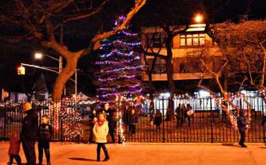 P.S. 304 Hosts Tree Lighting Ceremony|P.S. 304 Hosts Tree Lighting Ceremony|P.S. 304 Hosts Tree Lighting Ceremony|P.S. 304 Hosts Tree Lighting Ceremony|P.S. 304 Hosts Tree Lighting Ceremony|P.S. 304 Hosts Tree Lighting Ceremony