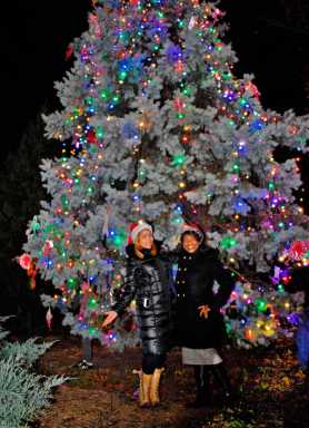 CB 7, 52nd Precinct Host Christmas Tree Lighting|CB 7, 52nd Precinct Host Christmas Tree Lighting