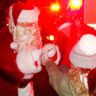 Edgewater Pk. Hosts Christmas Tree Lighting