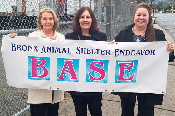 Bronx animal shelter planned/Full-service facility will open in 2024 on Bartow|Bronx animal shelter planned/Full-service facility will open in 2024 on Bartow