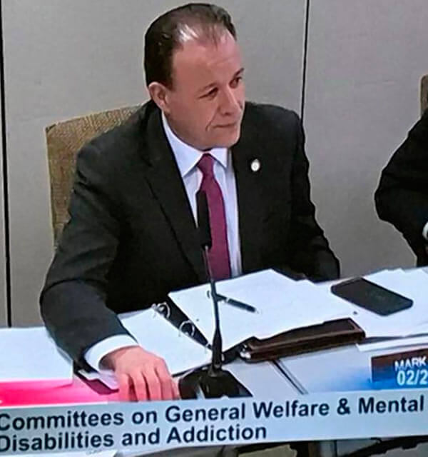 Gjonaj At General Welfare Committee Hearing