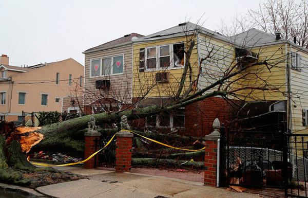 Nor’easter takes down 230-year-old Mighty Oak|Nor’easter takes down 230-year-old Mighty Oak|Nor’easter takes down 230-year-old Mighty Oak|Nor’easter takes down 230-year-old Mighty Oak|Nor’easter takes down 230-year-old Mighty Oak|Nor’easter takes down 230-year-old Mighty Oak|Nor’easter takes down 230-year-old Mighty Oak|Nor’easter takes down 230-year-old Mighty Oak|Nor’easter takes down 230-year-old Mighty Oak