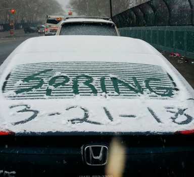 Winter Storm Toby Brings Springtime Snowfall|Winter Storm Toby Brings Springtime Snowfall|Winter Storm Toby Brings Springtime Snowfall|Winter Storm Toby Brings Springtime Snowfall|Winter Storm Toby Brings Springtime Snowfall|Winter Storm Toby Brings Springtime Snowfall