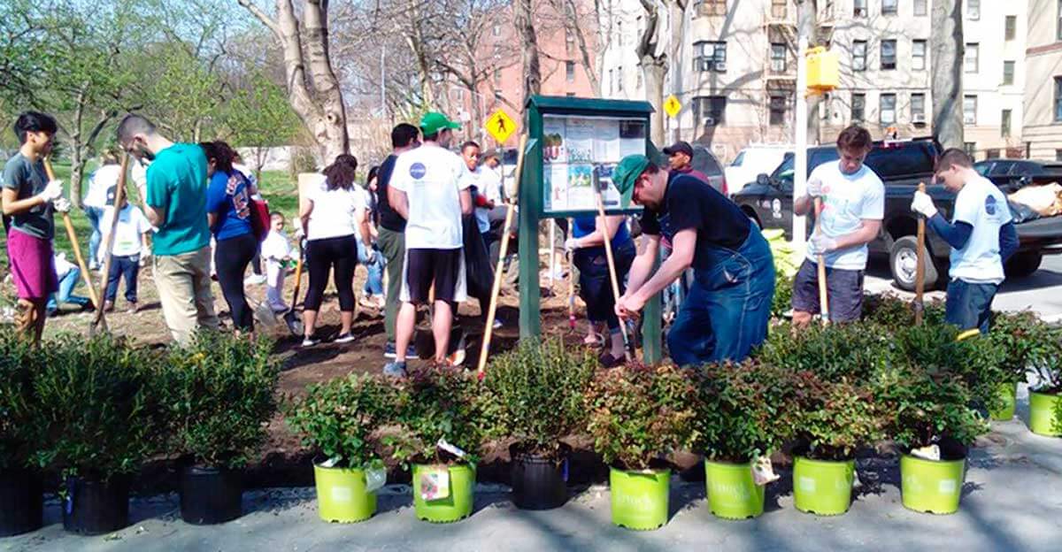 Friends Of Pel Pkwy Build Garden|Friends Of Pel Pkwy Build Garden
