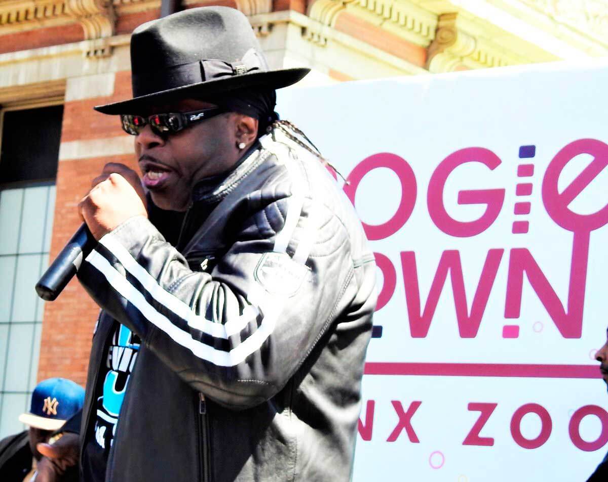 Boogie Down At The Bronx Zoo|Boogie Down At The Bronx Zoo|Boogie Down At The Bronx Zoo|Boogie Down At The Bronx Zoo|Boogie Down At The Bronx Zoo|Boogie Down At The Bronx Zoo
