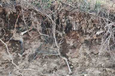 A bone of contention/Erosion exposes human remains on Hart Island|A bone of contention/Erosion exposes human remains on Hart Island