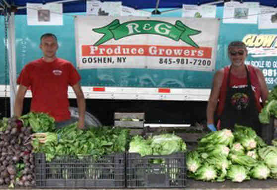 Fordham Plaza Greenmarket Blooms|Fordham Plaza Greenmarket Blooms