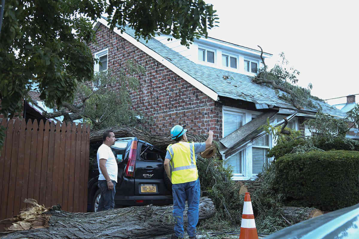 Tree Falls Onto Layton Avenue Home|Tree Falls Onto Layton Avenue Home
