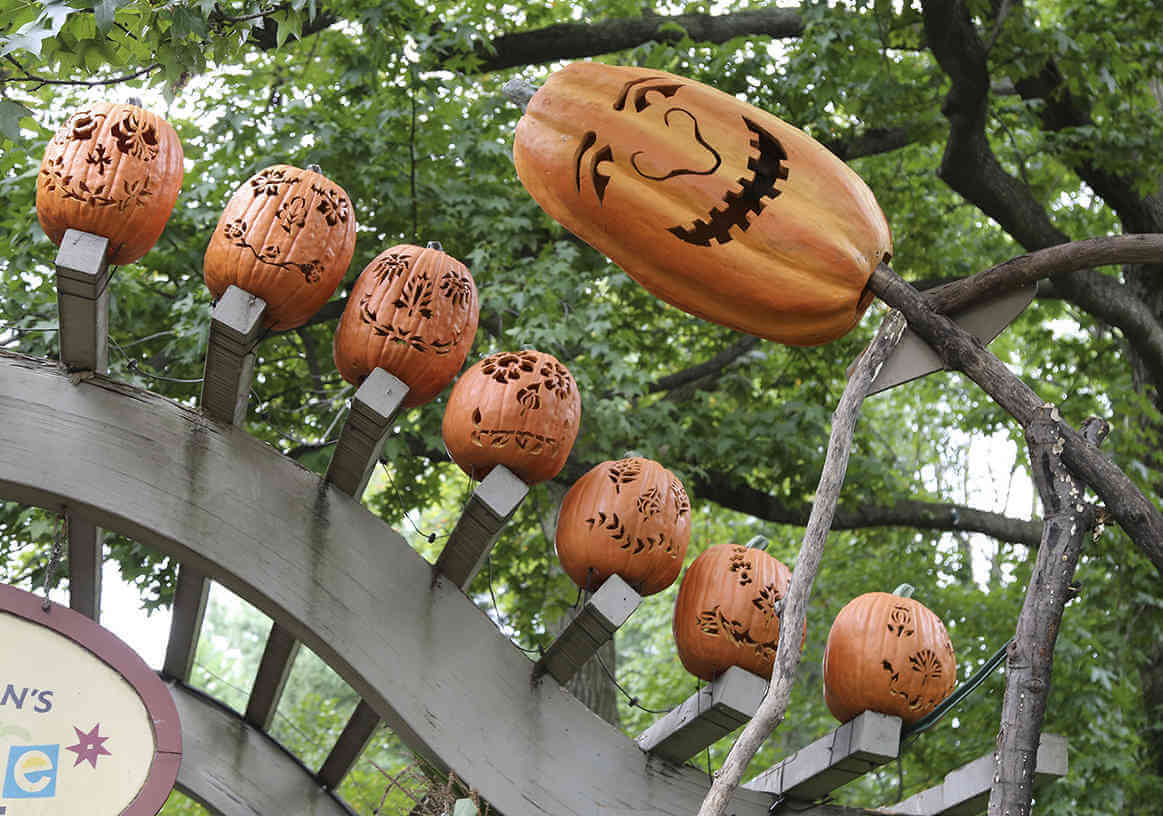 Spooky Pumpkin Garden Takes Root At NYBG|Spooky Pumpkin Garden Takes Root At NYBG|Spooky Pumpkin Garden Takes Root At NYBG|Spooky Pumpkin Garden Takes Root At NYBG|Spooky Pumpkin Garden Takes Root At NYBG|Spooky Pumpkin Garden Takes Root At NYBG|Spooky Pumpkin Garden Takes Root At NYBG