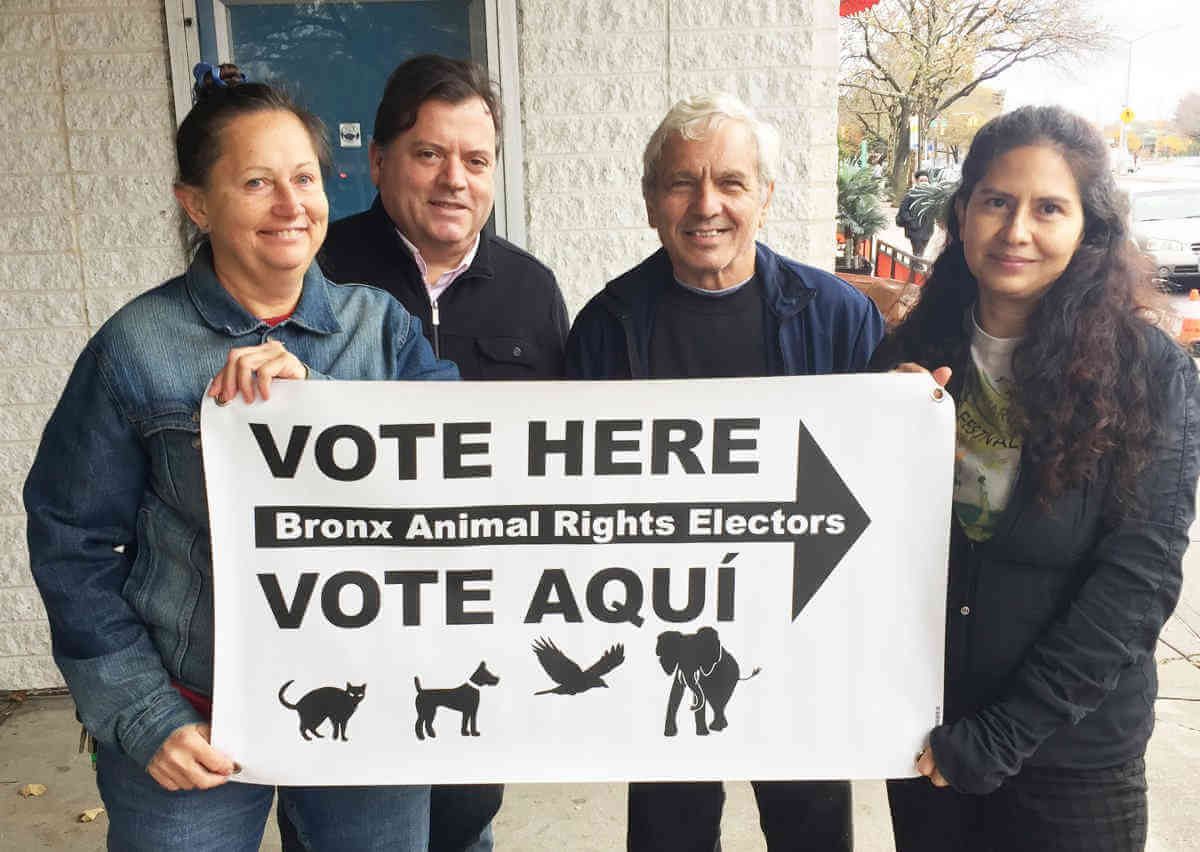 About face on pet pen/King supports animal shelter after deal’s sweetened