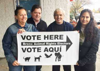 About face on pet pen/King supports animal shelter after deal’s sweetened