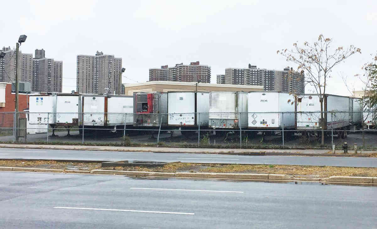 Co-op City animal shelter approved by City Council