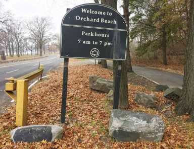 Orchard Beach ferry service petition gains traction|Orchard Beach ferry service petition gains traction