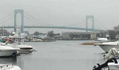 Hammond Cove shoreline restoration design grant