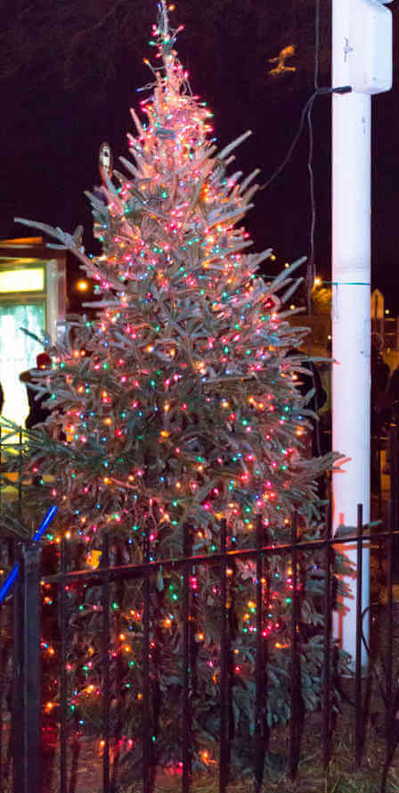 Holiday tree lightings scheduled around the borough