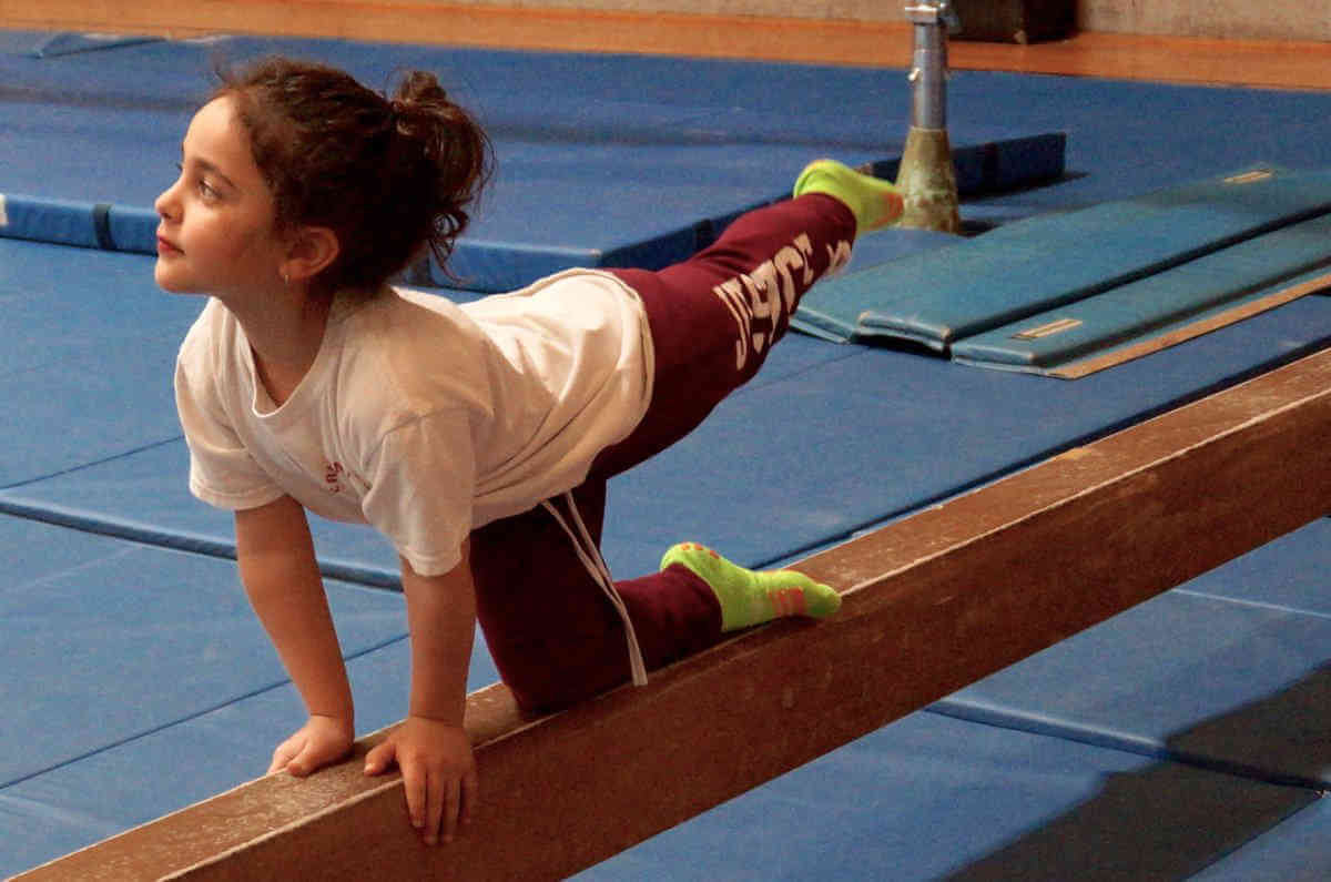 American Turners Club Presents Gymnastics Show Bronx Times