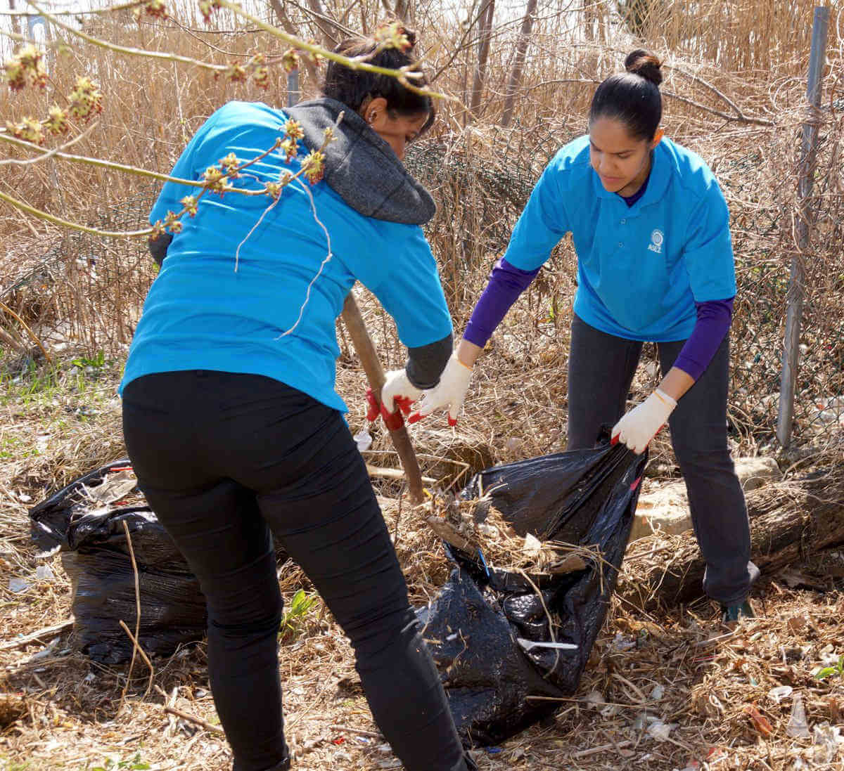 ASEZ University Vols Revitalize Clason Point Park|ASEZ University Vols Revitalize Clason Point Park|ASEZ University Vols Revitalize Clason Point Park|ASEZ University Vols Revitalize Clason Point Park|ASEZ University Vols Revitalize Clason Point Park|ASEZ University Vols Revitalize Clason Point Park