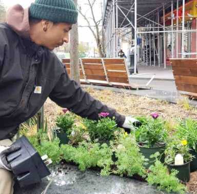 Spring Has Sprung At Roberto Clemente Plaza
