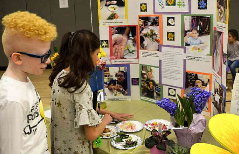 NYISE Science Fair Showcase