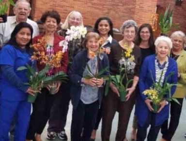 Gjonaj Gifts NYBG Orchids For Mother’s Day