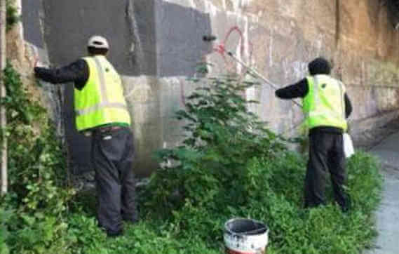 Wildcats Conduct Muliner Avenue Graffiti Removal
