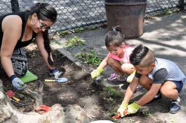 Friends of Mosholu Parkland’s Garden Festival|Friends of Mosholu Parkland’s Garden Festival|Friends of Mosholu Parkland’s Garden Festival|Friends of Mosholu Parkland’s Garden Festival|Friends of Mosholu Parkland’s Garden Festival|Friends of Mosholu Parkland’s Garden Festival