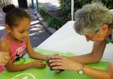 Family Fun Day At Pelham Bay Park