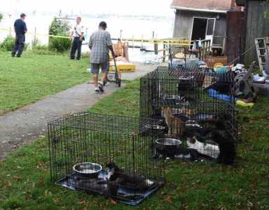 TN house on pilings suffers partial collapse|TN house on pilings suffers partial collapse