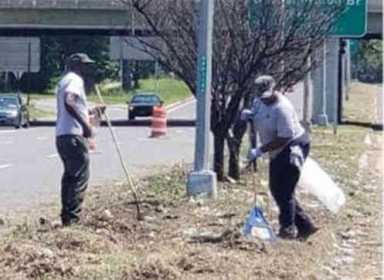 NYC Parks Revitalizes Parkway Median