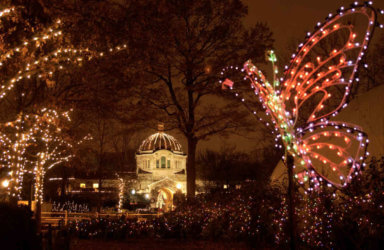 Bronx Zoo holiday lights set to return after a dozen years|Bronx Zoo holiday lights set to return after a dozen years