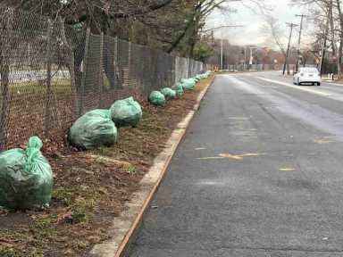 Wildcats clean up Throgs Neck Exwy service road