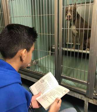 Clason Point Youngster Gives Back to Man’s Best Friend