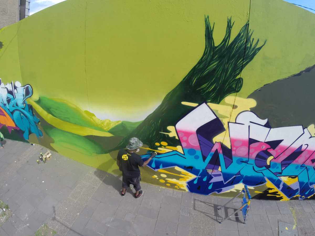 wane_in_action_southafrica