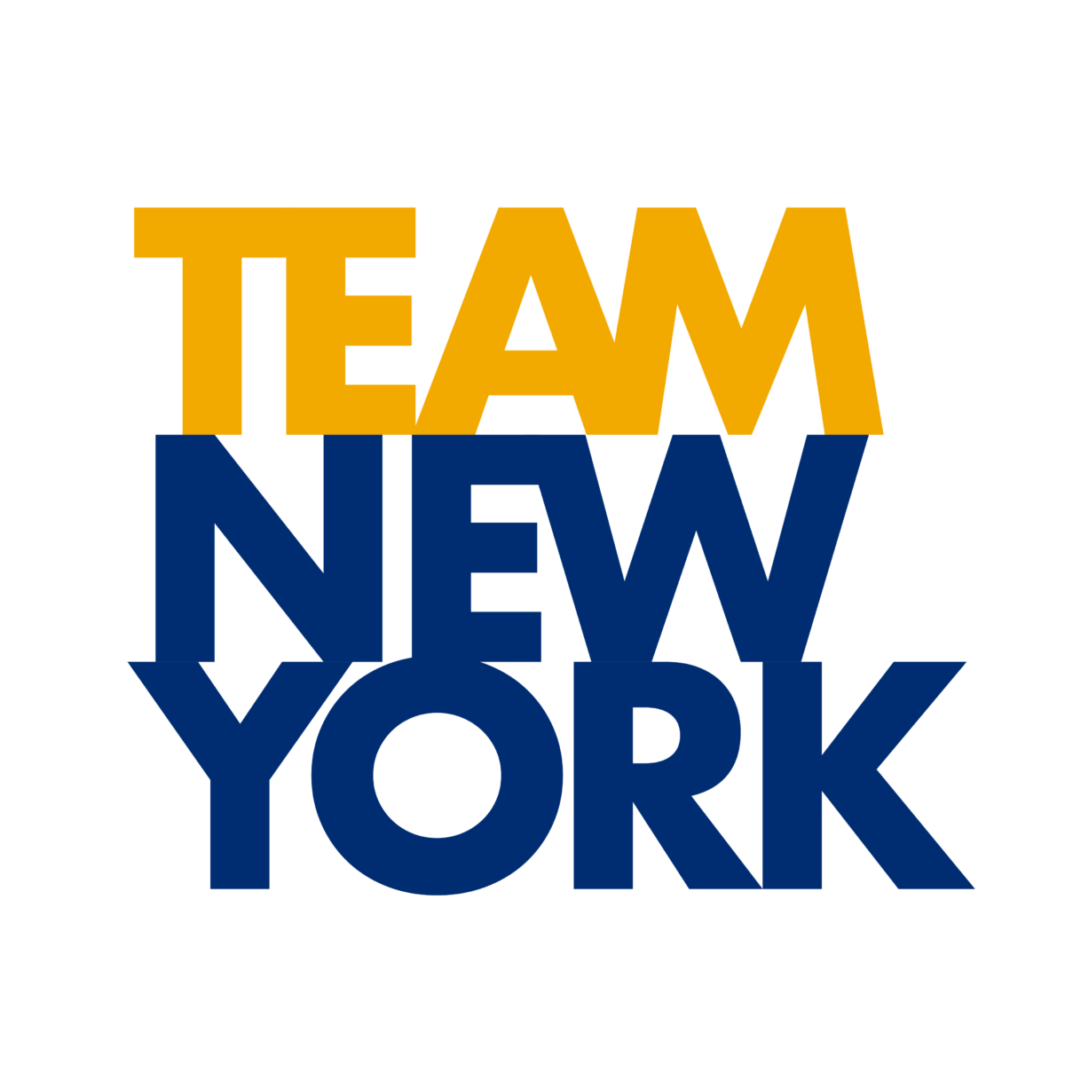 TeamNewYork_Wordmark_Alt – Transparent