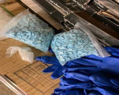 Product seized from basement