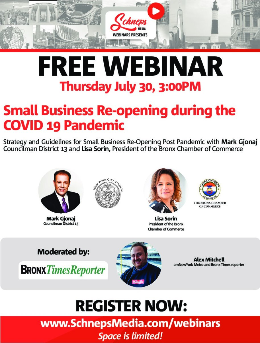 BronxWebinar_WIP3