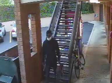 Screen-Shot-2020-08-22-at-10.13.46-AM